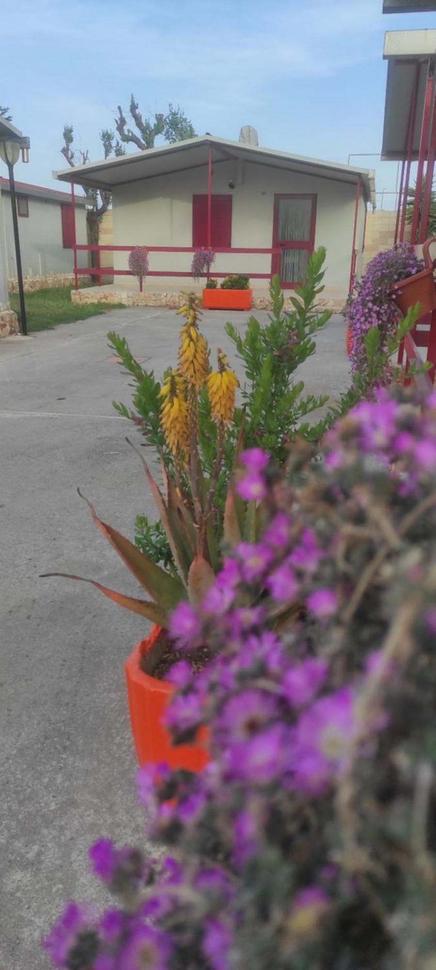 Villaggio Albergo Cervo زابونيتا المظهر الخارجي الصورة