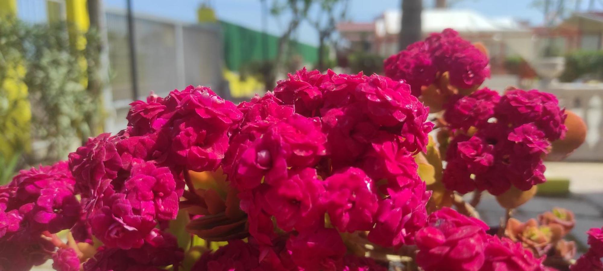 Villaggio Albergo Cervo زابونيتا المظهر الخارجي الصورة